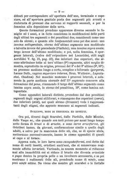 Annali di agricoltura