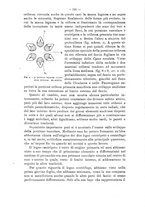 giornale/TO00175313/1903-1904/unico/00000136