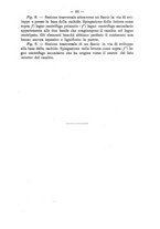 giornale/TO00175313/1903-1904/unico/00000141