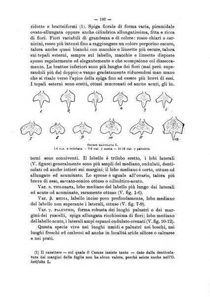 Annali di botanica