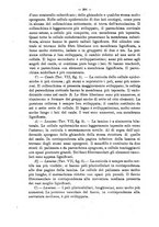 giornale/TO00175313/1903-1904/unico/00000296