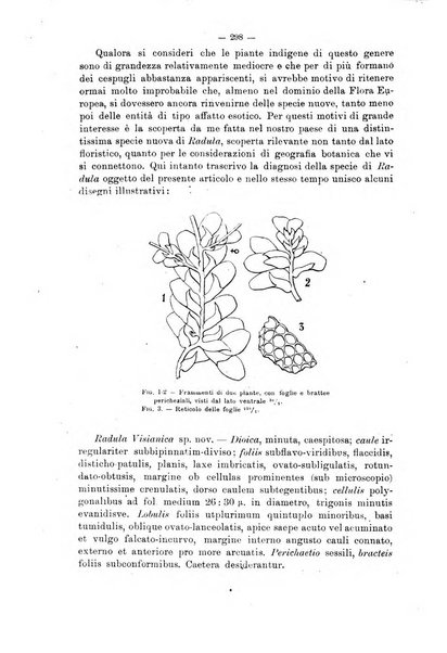 Annali di botanica