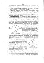 giornale/TO00175313/1905/V.2/00000024