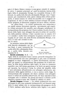 giornale/TO00175313/1905/V.2/00000025