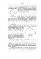 giornale/TO00175313/1905/V.2/00000026