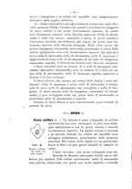 giornale/TO00175313/1905/V.2/00000028