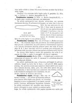 giornale/TO00175313/1905/V.2/00000030