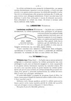 giornale/TO00175313/1905/V.2/00000036