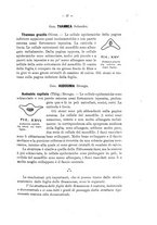 giornale/TO00175313/1905/V.2/00000037