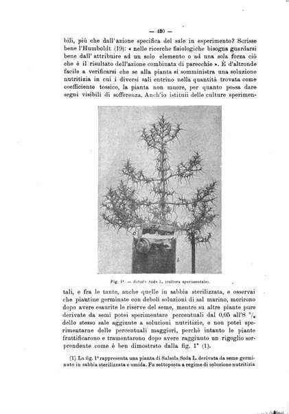 Annali di botanica