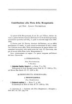 giornale/TO00175313/1905/V.2/00000547