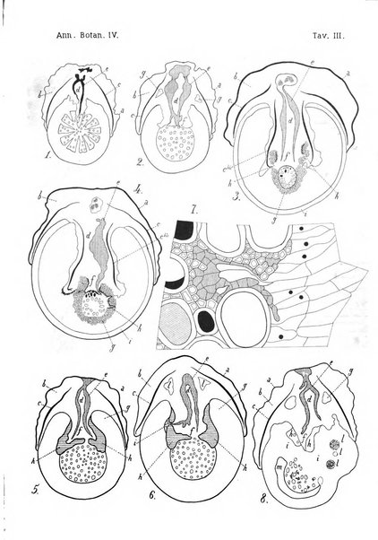 Annali di botanica