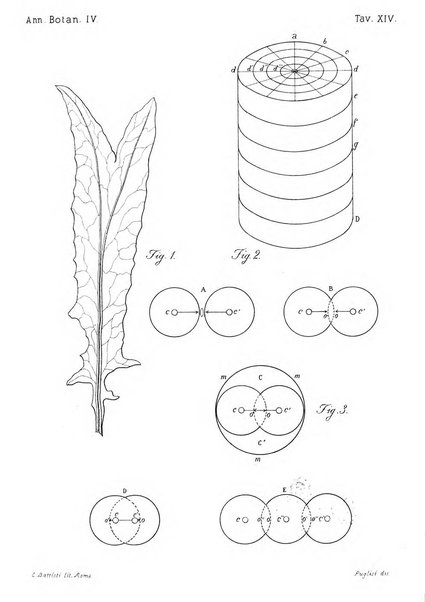 Annali di botanica