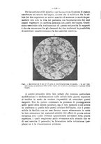 giornale/TO00175313/1916-1917/unico/00000164