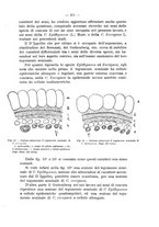 giornale/TO00175313/1923-1926/unico/00000419