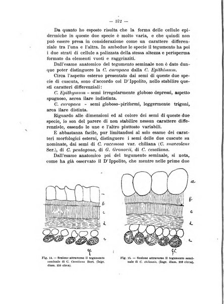 Annali di botanica