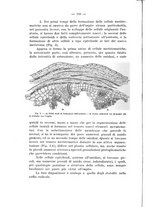 giornale/TO00175313/1928-1929/unico/00000134