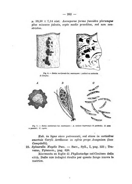 Annali di botanica