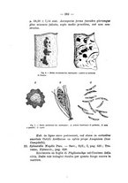 giornale/TO00175313/1928-1929/unico/00000292