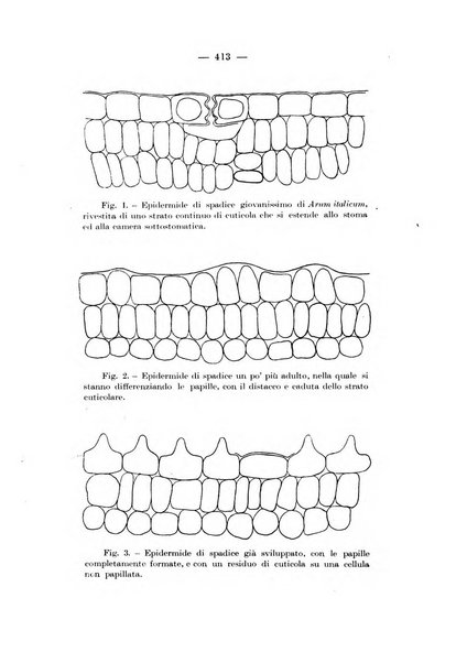 Annali di botanica