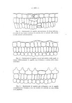 giornale/TO00175313/1931-1932/unico/00000449