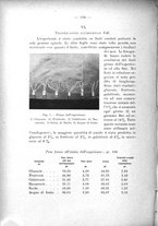 giornale/TO00175313/1933-1934/unico/00000166
