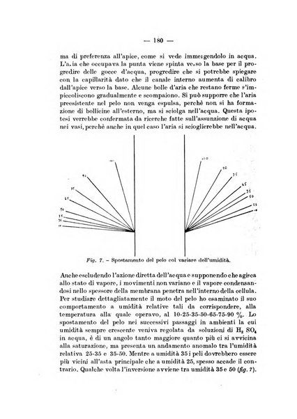 Annali di botanica