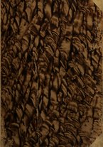 giornale/TO00175321/1941/v.10/00000001