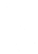 giornale/TO00175323/1924-1925/unico/00000004