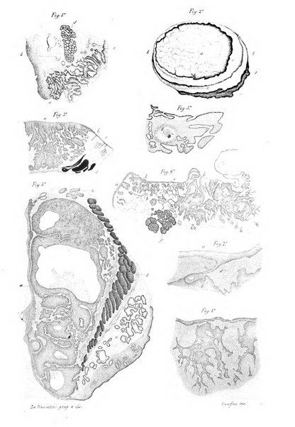 Annali di ottalmologia