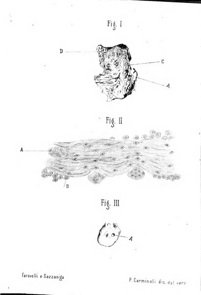 Annali di ottalmologia