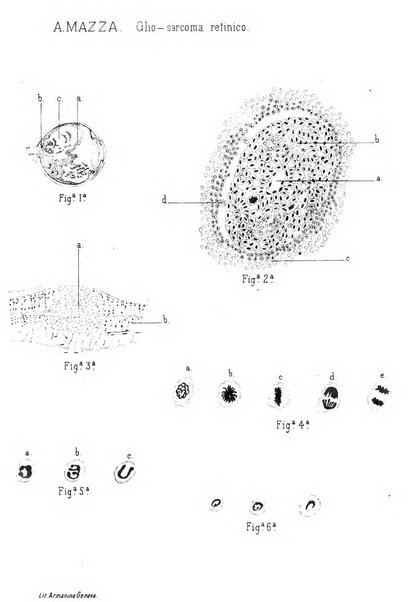 Annali di ottalmologia