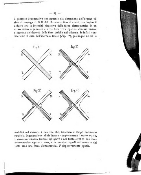 Annali di ottalmologia