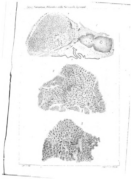 Annali di ottalmologia