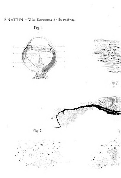 Annali di ottalmologia