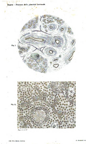 Annali di ottalmologia