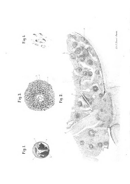 Annali di ottalmologia