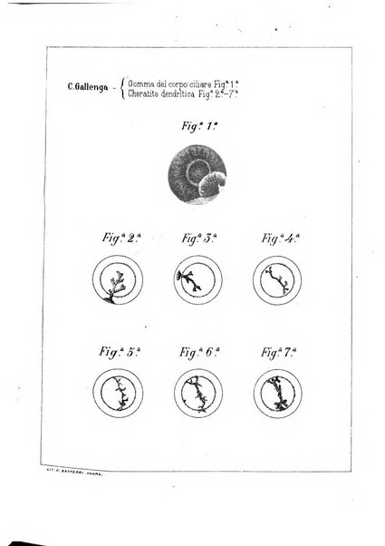 Annali di ottalmologia