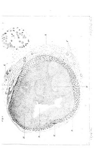 Annali di ottalmologia