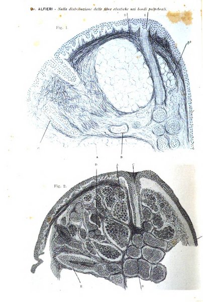 Annali di ottalmologia