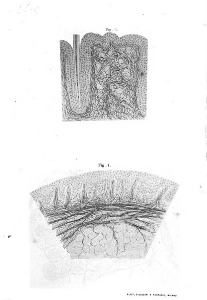 Annali di ottalmologia