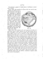 giornale/TO00175353/1899/unico/00000014