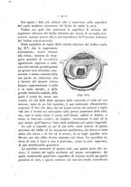 giornale/TO00175353/1899/unico/00000015