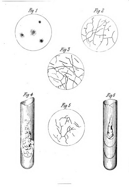 Annali di ottalmologia