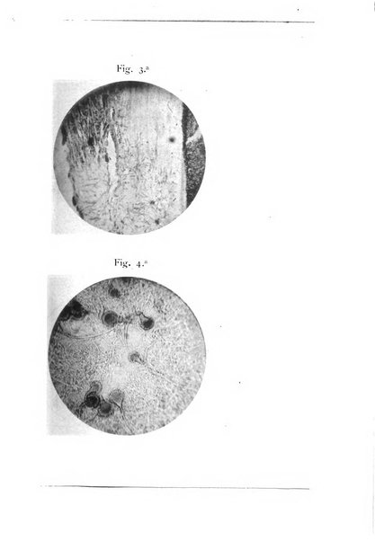 Annali di ottalmologia