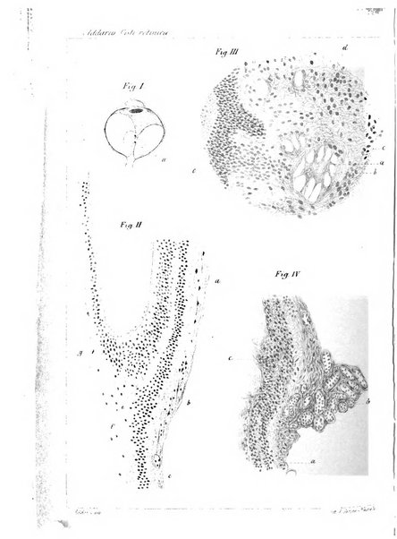 Annali di ottalmologia