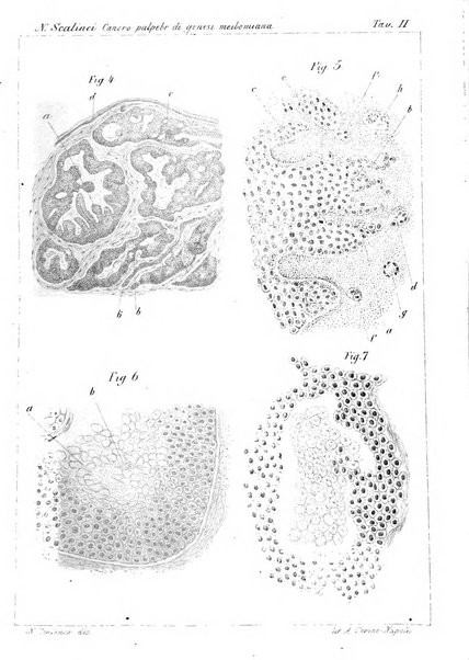 Annali di ottalmologia