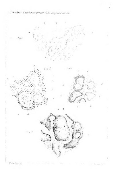 Annali di ottalmologia