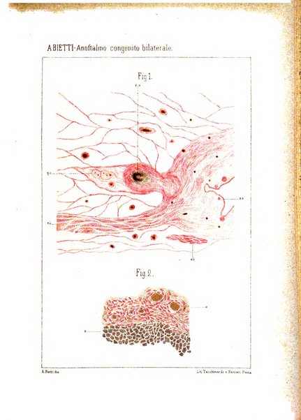 Annali di ottalmologia