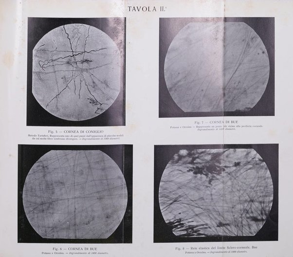 Annali di ottalmologia